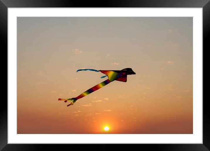 Kite Flying at Sunset Framed Mounted Print by Glen Allen