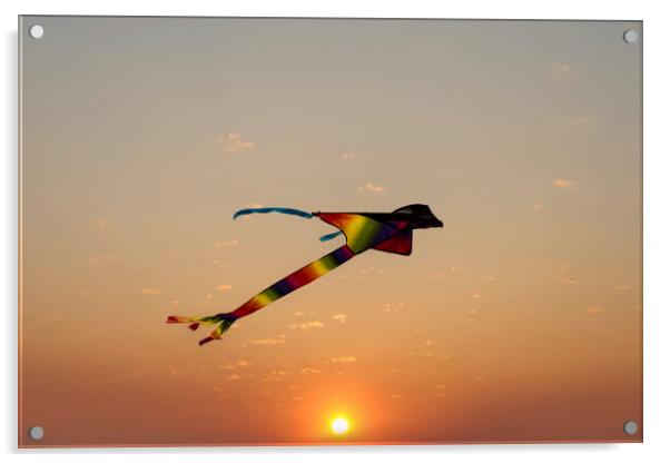Kite Flying at Sunset Acrylic by Glen Allen