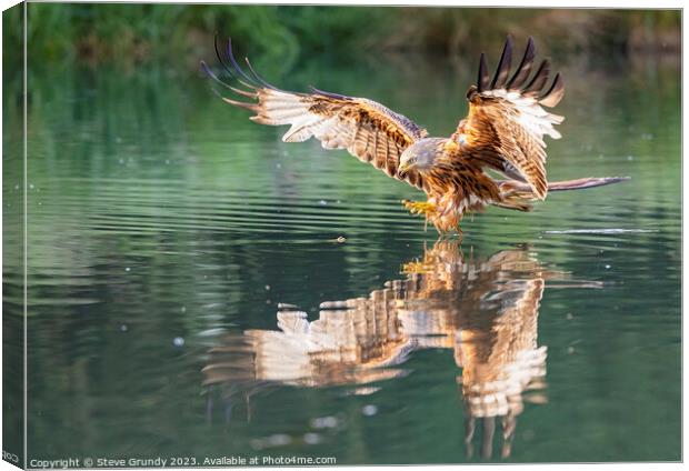 Red Kite Fishing Canvas Print by Steve Grundy