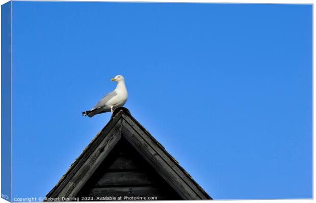 Seagull On Fishemans Hut Canvas Print by Robert Deering
