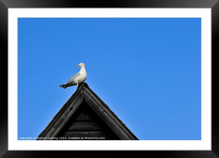 Seagull On Fishemans Hut Framed Mounted Print by Robert Deering