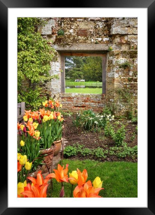 Floral colours and a window view Framed Mounted Print by Tony lopez