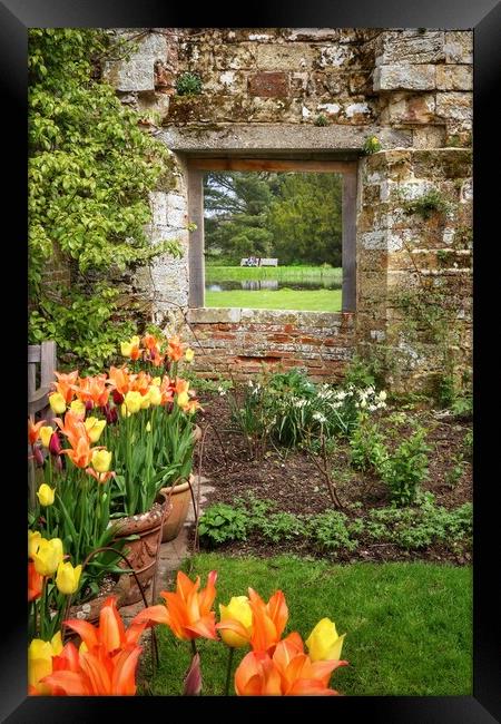 Floral colours and a window view Framed Print by Tony lopez