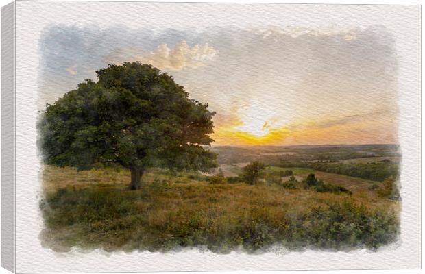 Downland Evening Canvas Print by Malcolm McHugh