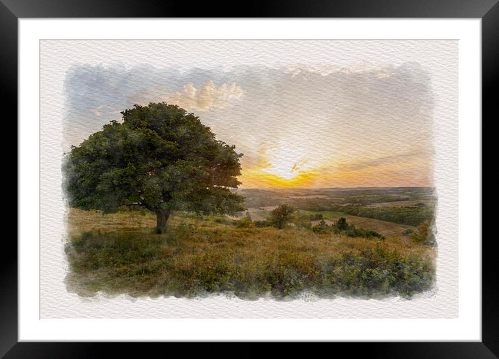 Downland Evening Framed Mounted Print by Malcolm McHugh