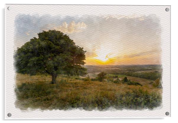 Downland Evening Acrylic by Malcolm McHugh
