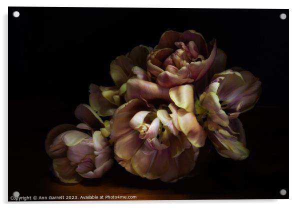Tulips In The Sun Acrylic by Ann Garrett