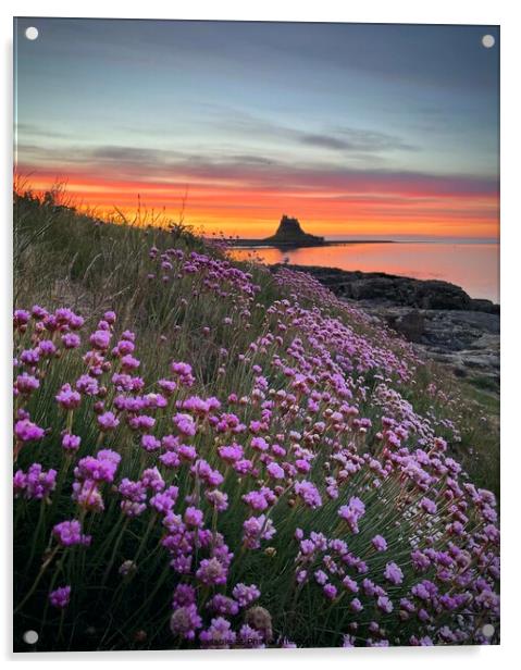 Holy Island Northumberland Coast  Acrylic by David Thompson