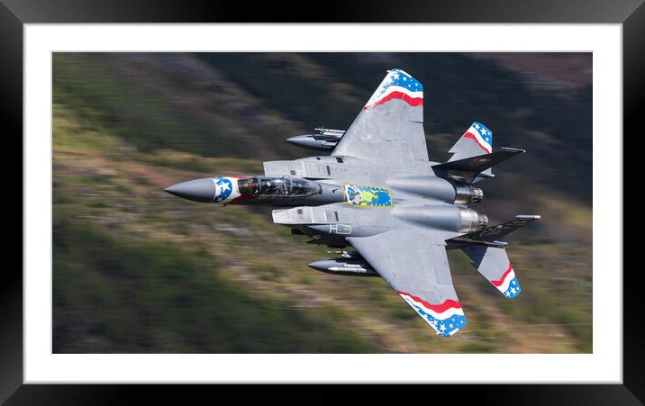 USAF F15 Heritage 80 year Special Framed Mounted Print by Rory Trappe
