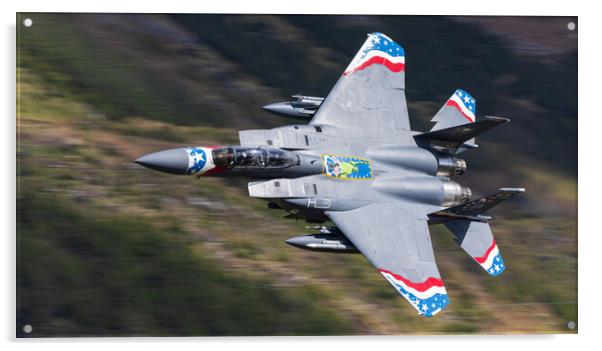 USAF F15 Heritage 80 year Special Acrylic by Rory Trappe