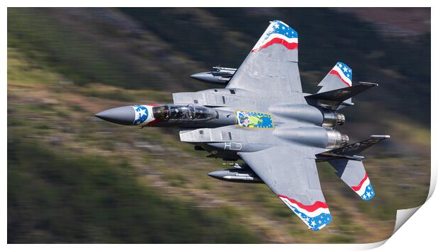 USAF F15 Heritage 80 year Special Print by Rory Trappe