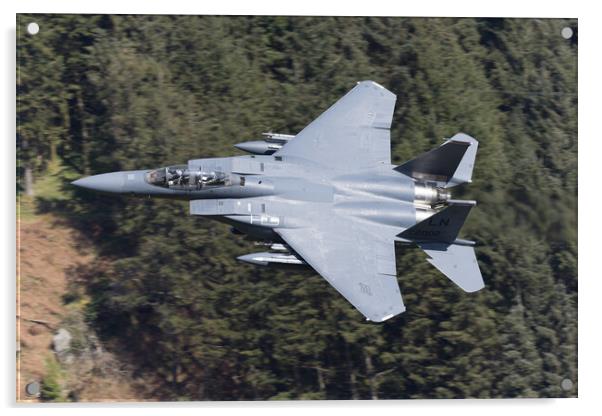F15 E Strike Eagle Acrylic by Rory Trappe