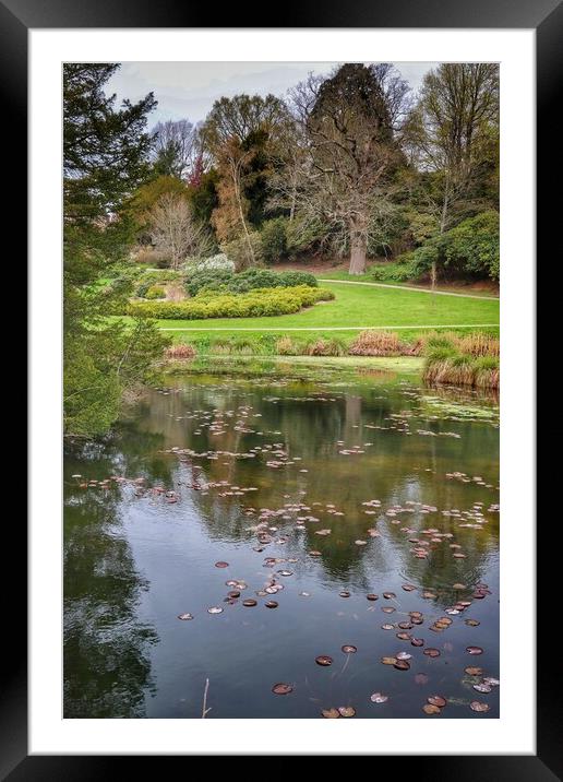 Walking around stoksey Castle  Framed Mounted Print by Tony lopez