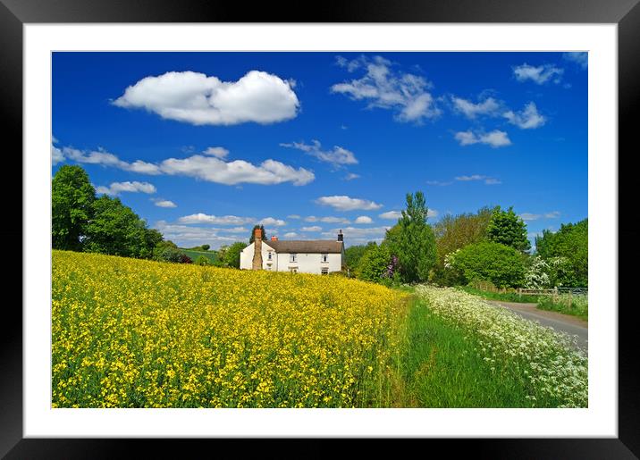 Wentworth Spring Landscape Framed Mounted Print by Darren Galpin