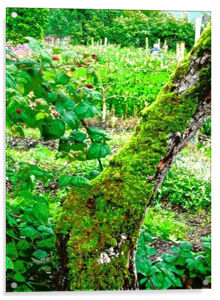 Green Irish garden Acrylic by Stephanie Moore