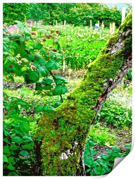 Green Irish garden Print by Stephanie Moore