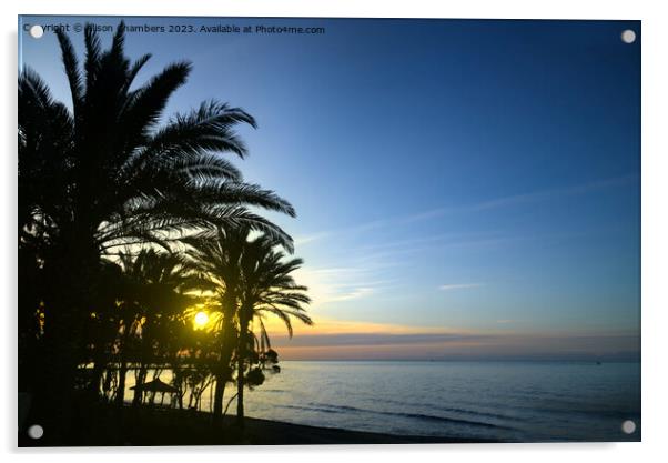 Marbella Sunrise Acrylic by Alison Chambers