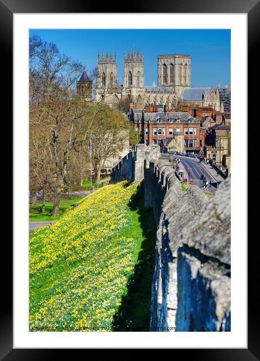 York Minster Framed Mounted Print by Alison Chambers