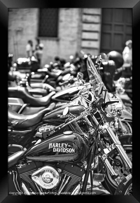 Row of parked Harley motorcycles Framed Print by Stefano Senise