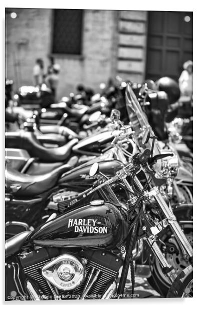 Row of parked Harley motorcycles Acrylic by Stefano Senise