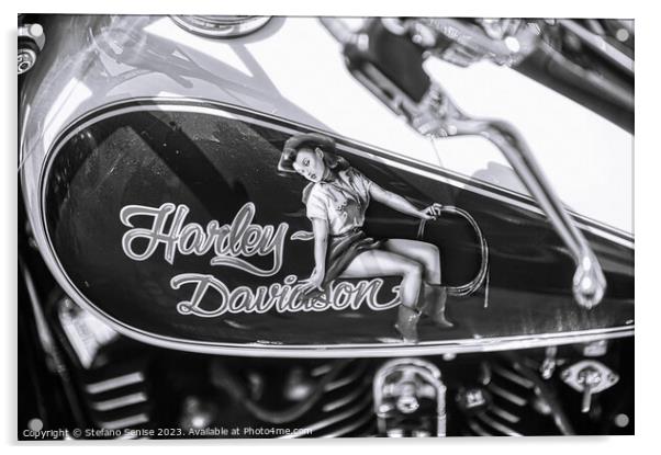 Harley Davidson Pin Up Acrylic by Stefano Senise