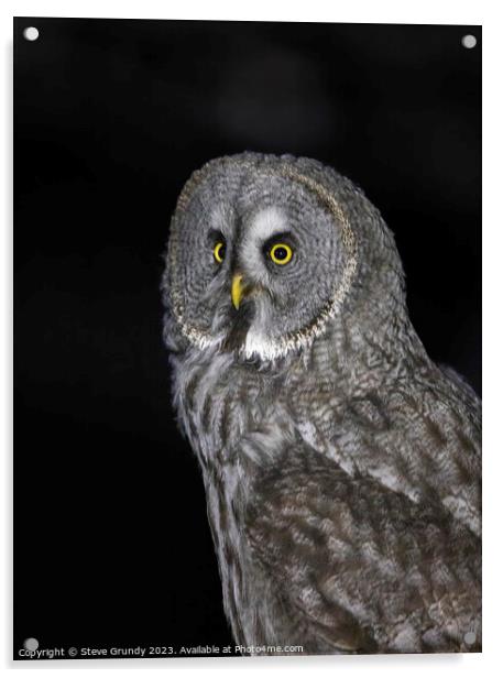 Great grey owl: A silent sentinel of the north. Acrylic by Steve Grundy