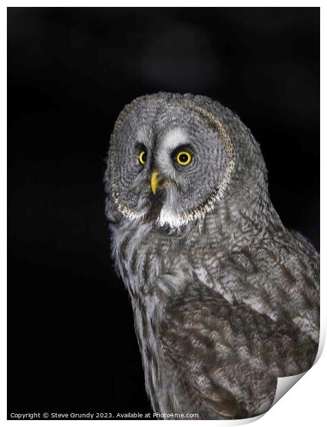 Great grey owl: A silent sentinel of the north. Print by Steve Grundy