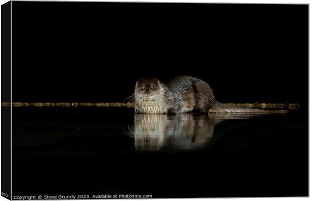 The Mysterious Otter Glimpse Canvas Print by Steve Grundy