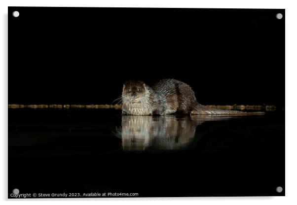 The Mysterious Otter Glimpse Acrylic by Steve Grundy