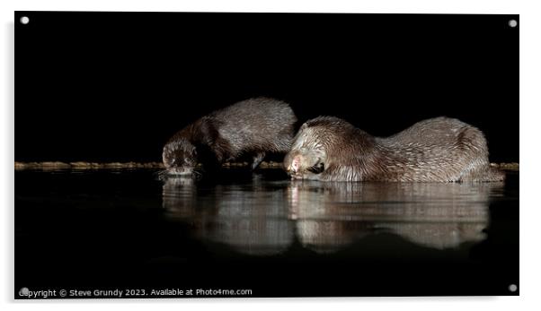 Otters at night: A river's secret dancers. Acrylic by Steve Grundy