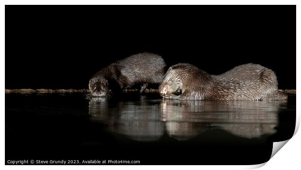Otters at night: A river's secret dancers. Print by Steve Grundy
