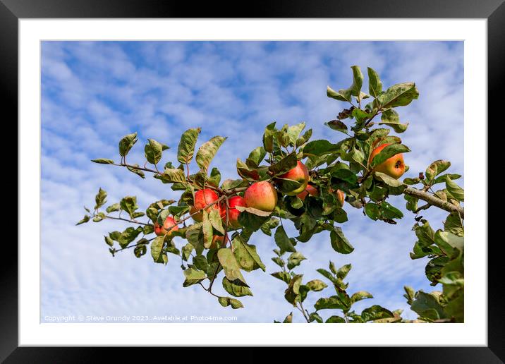 Apples and Blue Sky: A taste of heaven. Framed Mounted Print by Steve Grundy
