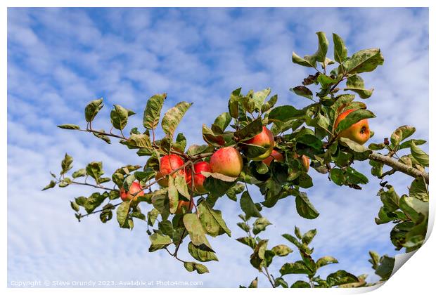Apples and Blue Sky: A taste of heaven. Print by Steve Grundy