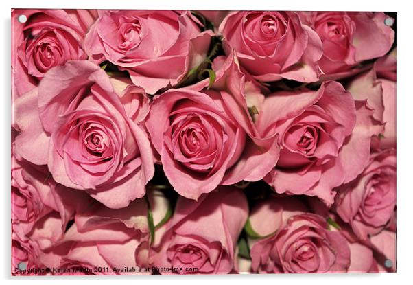 Pink Rose Buds Acrylic by Karen Martin
