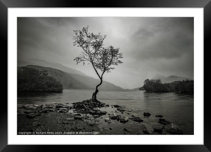 Rainclouds and the Lone Tree - Llanberis Framed Mounted Print by Richard Perks