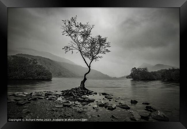 Rainclouds and the Lone Tree - Llanberis Framed Print by Richard Perks