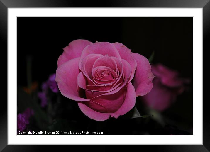 Bloom Framed Mounted Print by Leslie Erkman