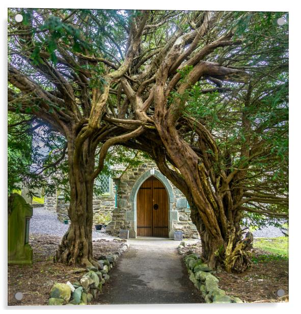 yew tree archway Acrylic by Peter Bardsley
