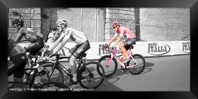 Froome wins the pink jersey  Framed Print by Stefano Senise