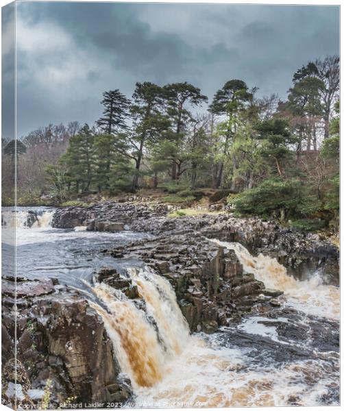 A Damp Day at Low Force Waterfall in Spring (1) Canvas Print by Richard Laidler