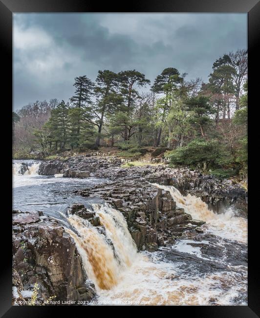 A Damp Day at Low Force Waterfall in Spring (1) Framed Print by Richard Laidler