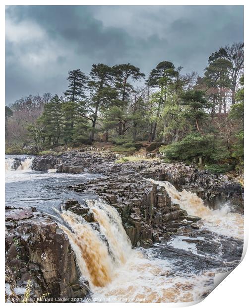 A Damp Day at Low Force Waterfall in Spring (1) Print by Richard Laidler