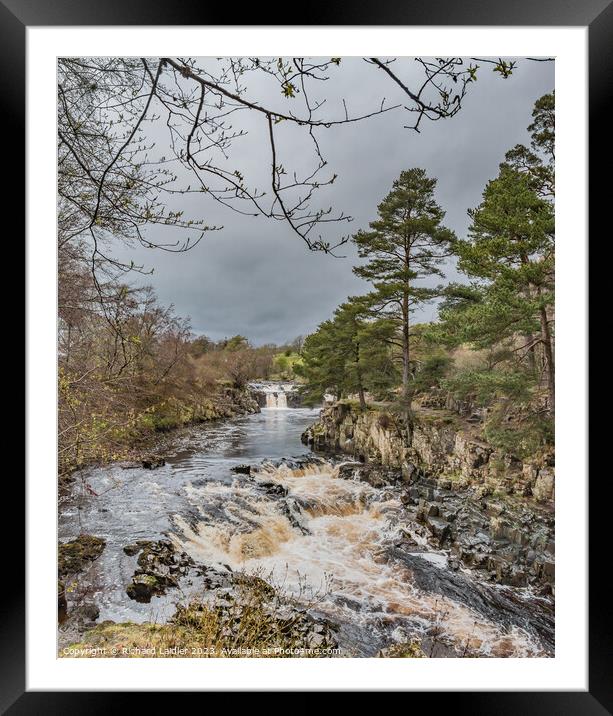A Damp Day at Low Force Waterfall in Spring (2) Framed Mounted Print by Richard Laidler