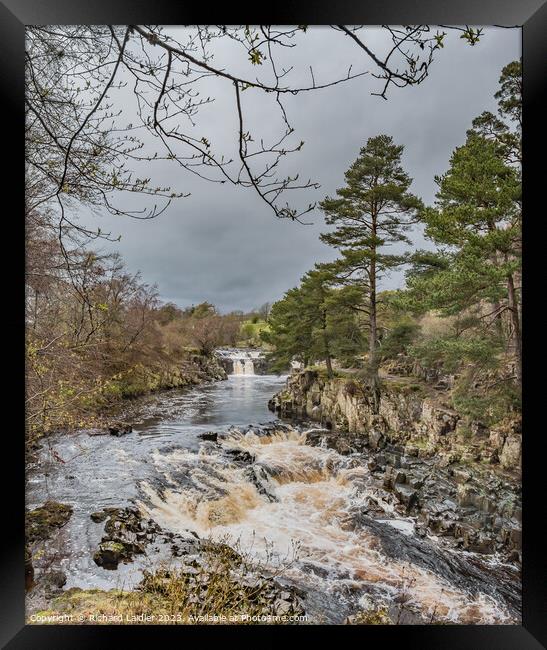A Damp Day at Low Force Waterfall in Spring (2) Framed Print by Richard Laidler