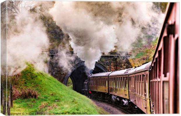 The Steam Engine's Enchanting Journey Canvas Print by Trevor Camp