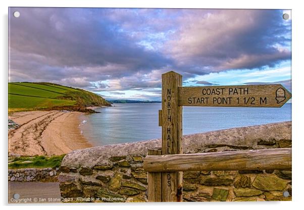 Devon Coastal walks  Acrylic by Ian Stone