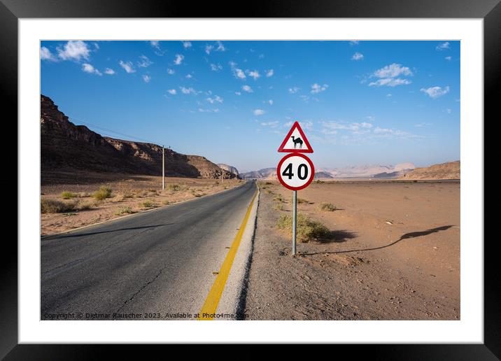 Attention Camel Road Sign in Jordan Framed Mounted Print by Dietmar Rauscher