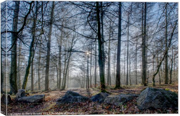 Frosty Misty Wentwood Forest in the Winter Canvas Print by Terry Brooks