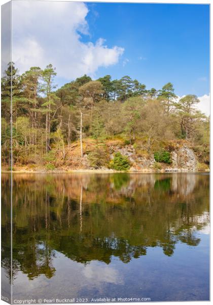 Reflections in Llyn y Parc Lake Snowdonia  Canvas Print by Pearl Bucknall