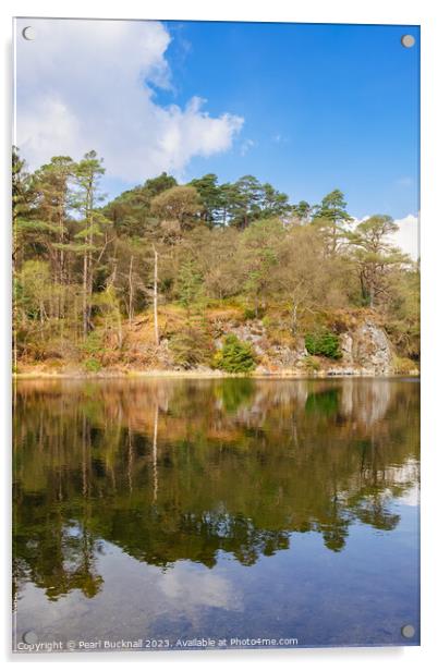 Reflections in Llyn y Parc Lake Snowdonia  Acrylic by Pearl Bucknall